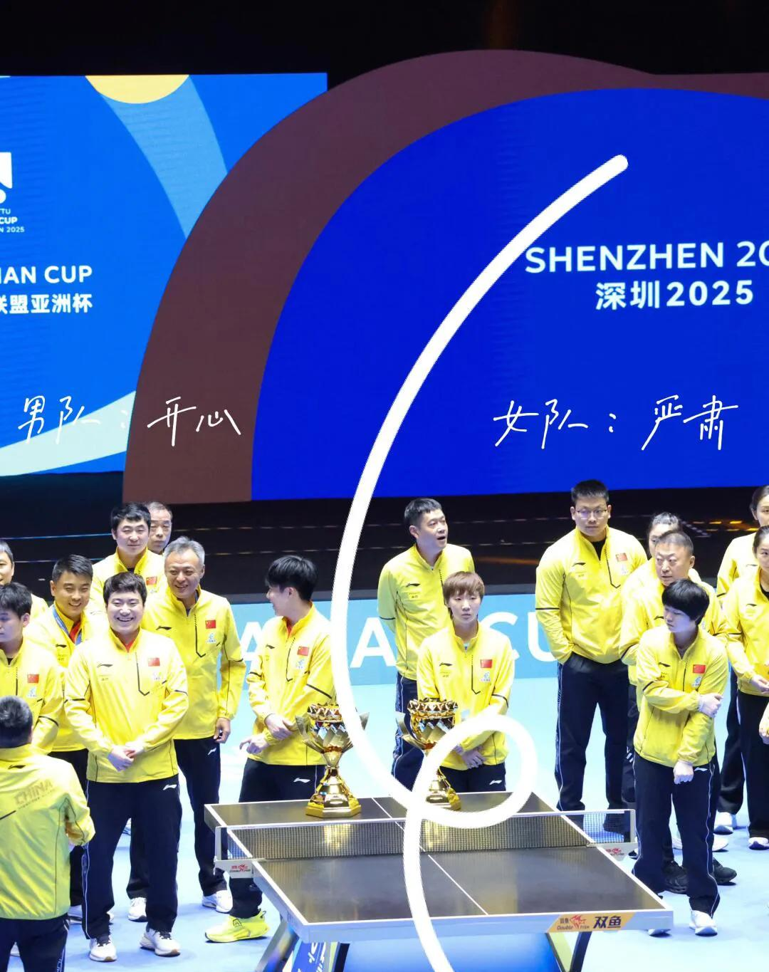 包含韩国队拼尽全力，为国争光夺冠梦想的词条